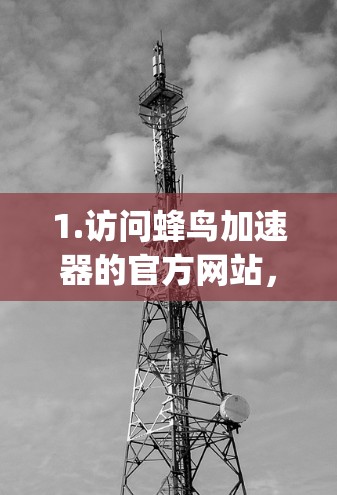 1.访问蜂鸟加速器的官方网站，首先，前往蜂鸟加速器的官方网站，通常为[蜂鸟加速器官网]https:www.beebird-accel.com)