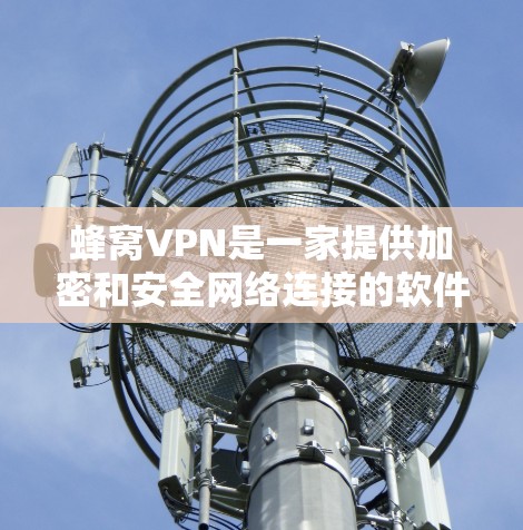 蜂窝VPN是一家提供加密和安全网络连接的软件服务，主要针对需要加密数据或网络环境的用户。在法国，蜂窝VPN可能需要符合法国网络安全法规的要求，因此用户在选择时需要考虑合规性