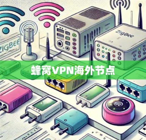 蜂窝VPN海外节点