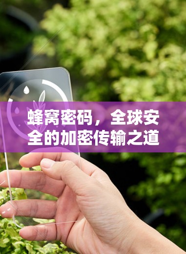 蜂窝密码，全球安全的加密传输之道