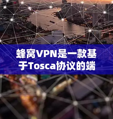 蜂窝VPN是一款基于Tosca协议的端到端加密VPN，提供多种设备类型的选择，支持端到端加密和端到端认证，适合企业级和私有云环境。以下是详细的总结