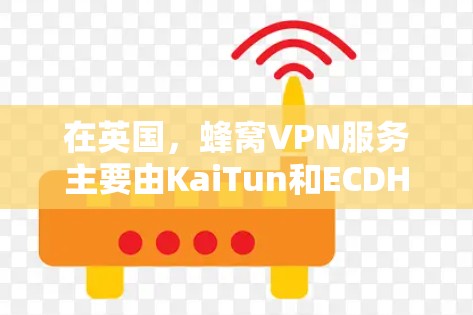 在英国，蜂窝VPN服务主要由KaiTun和ECDHEA两个公司提供。以下是关于这两个公司的详细信息