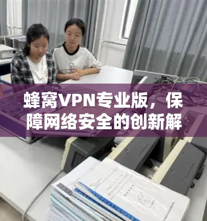 蜂窝VPN专业版,保障网络安全的创新解决方案 蜂窝VPN专业版,保障网络安全的创新解决方案