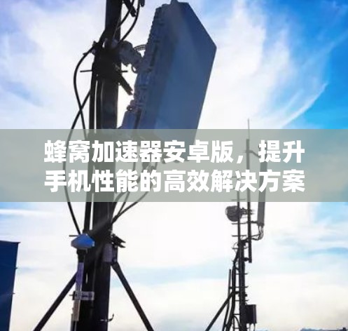 蜂窝加速器安卓版，提升手机性能的高效解决方案