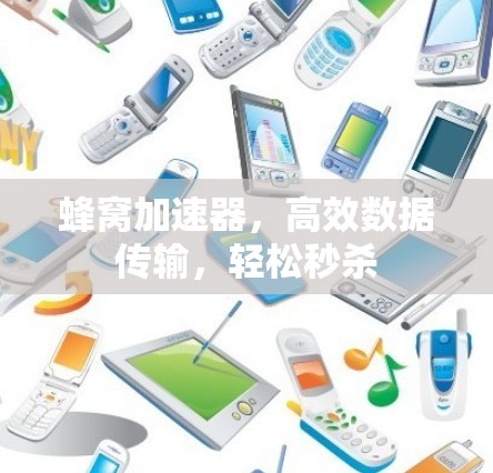 蜂窝加速器，高效数据传输，轻松秒杀