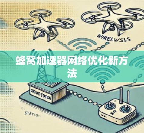 蜂窝加速器网络优化新方法