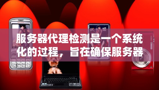服务器代理检测是一个系统化的过程，旨在确保服务器代理的状态正常，防止攻击。以下是一个详细的步骤指南，帮助您有效执行服务器代理检测