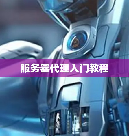 服务器代理入门教程 服务器代理入门教程