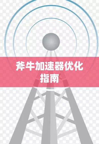 斧牛加速器优化指南