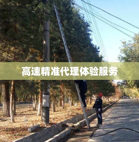 高速精准代理体验服务