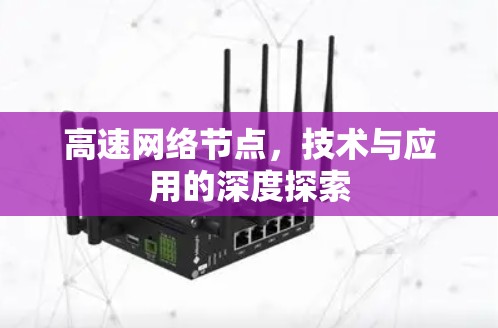 高速网络节点,技术与应用的深度探索 高速网络节点,技术与应用的深度探索