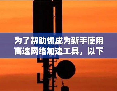 为了帮助你成为新手使用高速网络加速工具，以下是一个 organized的指南，涵盖从了解工具到实际操作的步骤