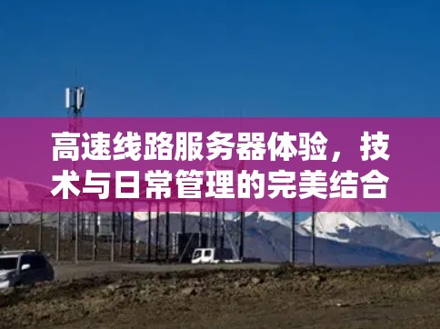 高速线路服务器体验，技术与日常管理的完美结合