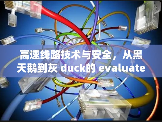 高速线路技术与安全,从黑天鹅到灰 duck的 evaluated journey 高速线路技术与安全,从黑天鹅到灰 duck的 evaluated journey