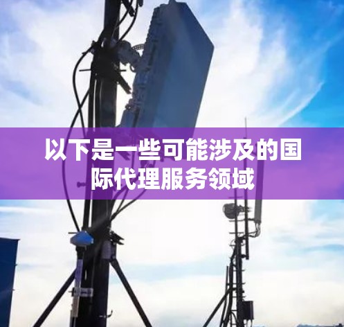 以下是一些可能涉及的国际代理服务领域