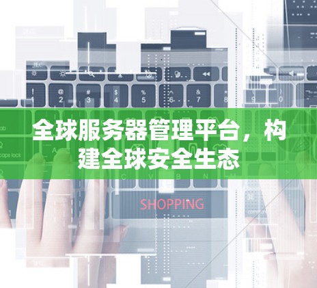 全球服务器管理平台，构建全球安全生态