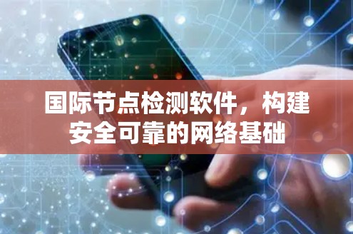 国际节点检测软件,构建安全可靠的网络基础 国际节点检测软件,构建安全可靠的网络基础