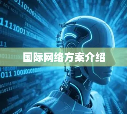 国际网络方案介绍 国际网络方案介绍