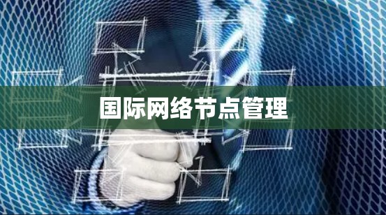 国际网络节点管理 国际网络节点管理