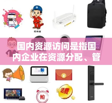 国内资源访问是指国内企业在资源分配、管理、利用方面进行的活动和操作。具体而言，资源访问可能包括以下几个方面