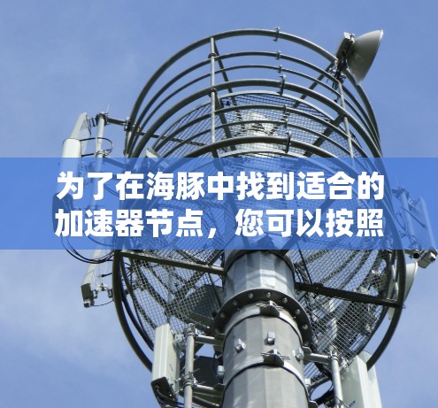 为了在海豚中找到适合的加速器节点，您可以按照以下步骤进行