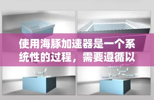 使用海豚加速器是一个系统性的过程，需要遵循以下步骤和注意事项