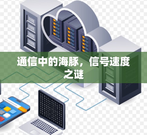 通信中的海豚，信号速度之谜
