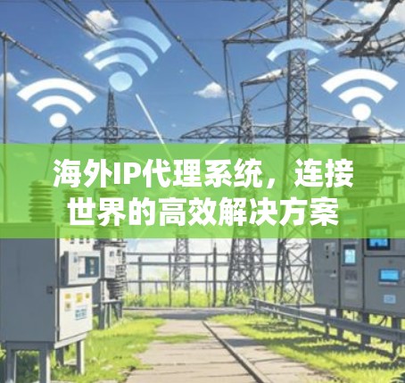海外IP代理系统，连接世界的高效解决方案