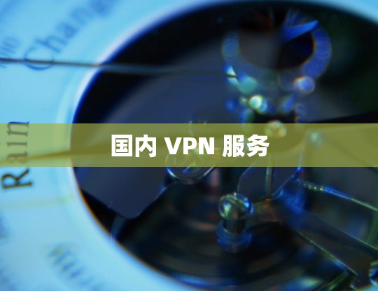 国内 VPN 服务