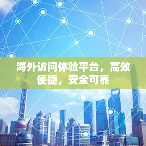 海外访问体验平台，高效便捷，安全可靠